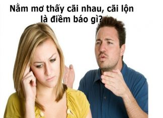 Mơ thấy cãi nhau