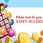 Phân tích lô gan KQXSMN 25/3/2022