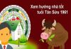 tuổi tân sửu hợp với hướng nhà nào