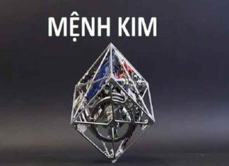 Cây cảnh hợp với mệnh Kim mang lại phong thủy cực tốt