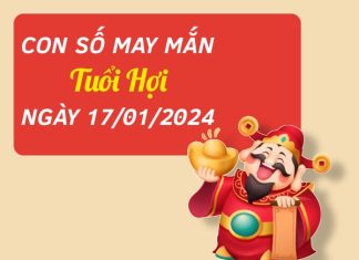 Con số may mắn tuổi Hợi hôm nay ngày 17/1/2024
