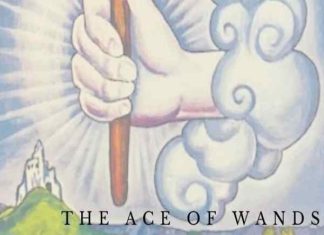 ý nghĩa lá ace of wands