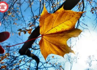 tiết thu phân 2024