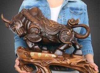 treo đầu bò trong nhà tốt hay xấu