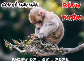 Phân tích con số may mắn tuổi Bính Thân ngày 2/8/2024 thứ 6 hôm nay