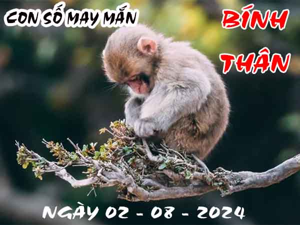 Phân tích con số may mắn tuổi Bính Thân ngày 2/8/2024 thứ 6 hôm nay