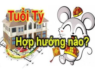 Tuổi Tý hợp hướng nào? Cách chọn hướng nhà cho tuổi Tý