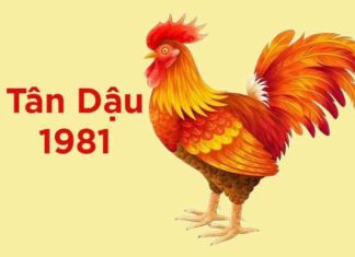 Tử vi tuổi Tân Dậu 23/4/2025