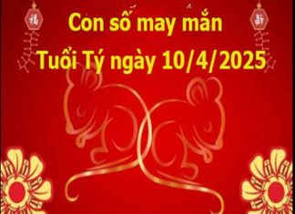 Tổng quan vận khí tuổi Tý ngày 10/4