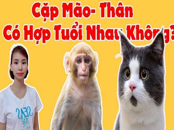Trong tình yêu – tuổi Thân và tuổi Mão có hợp để kết hôn không?