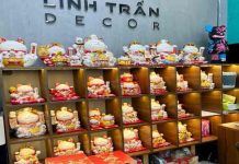 tuổi nào hợp với mèo thần tài