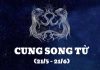 Tử vi cung Song Tử hôm nay nói gì về tài lộc?