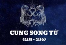 Tử vi cung Song Tử hôm nay nói gì về tài lộc?