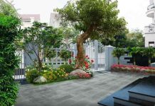 cách hóa giải cây to trước cửa nhà