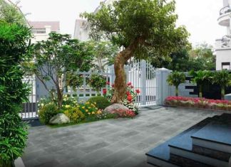 cách hóa giải cây to trước cửa nhà