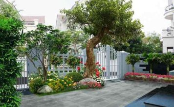 cách hóa giải cây to trước cửa nhà