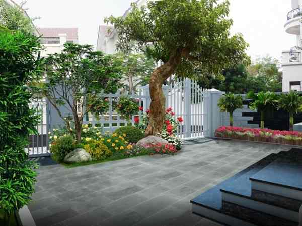 cách hóa giải cây to trước cửa nhà tăng cường ánh sáng phía trước nhà