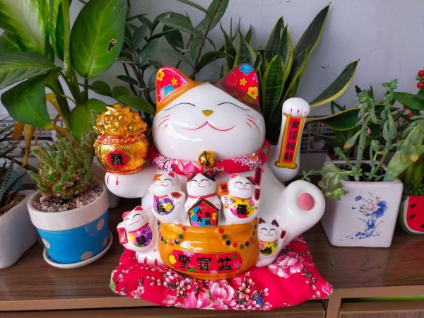 Tuổi Dậu hợp mèo thần tài Tuổi Dậu hợp mèo thần tài