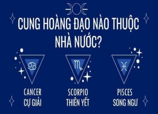 Giải mã cung nước hợp cung nào trong tình yêu và sự nghiệp