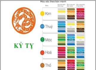 1989 hợp màu gì, nam nữ Kỷ Tỵ 1989 mua xe màu nào hợp