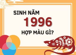 1996 hợp màu gì cả nam và nữ, ướng dụng màu hợp theo phong thủy