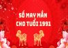1991 hợp với số nào giải mã con số may mắn cho nam và nữ