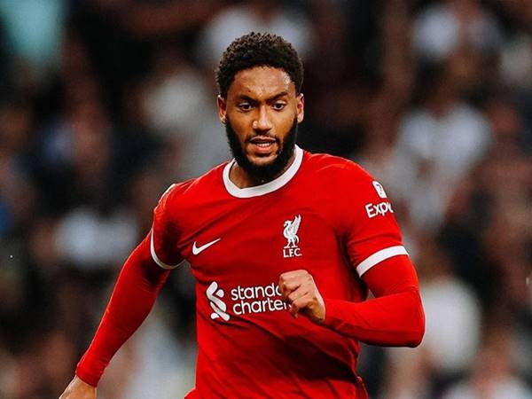 Joe Gomez từng khoác áo những đội bóng nào?