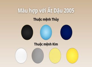 2005 hợp màu nào tài lộc để mua xe và trang trí nhà cửa