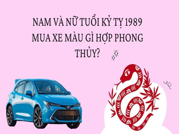 Nữ 1989 hợp màu xe gì?