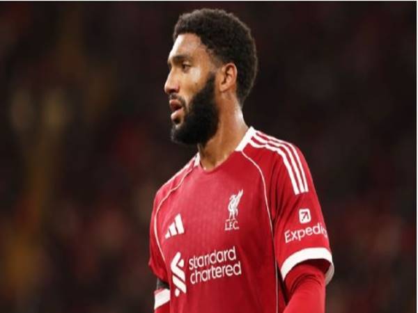Tin chuyển nhượng: AC Milan lên kế hoạch chiêu mộ Joe Gomez