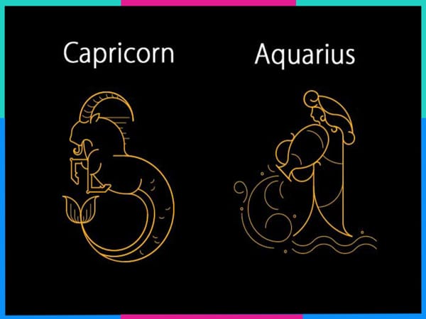 Ma Kết với Bảo Bình hợp nhau không trong công việc