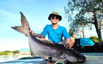 Nằm mơ thây câu cá là có điềm gì trong cuộc sống