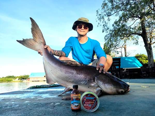 Nằm mơ thây câu cá là có điềm gì trong cuộc sống