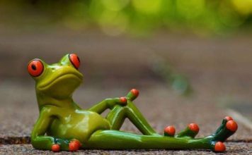 Nằm mơ thấy ếch là điềm gì? Điềm lành hay xui rủi sắp tới