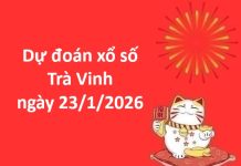 Dự đoán xổ số Trà Vinh ngày 23 tháng 1