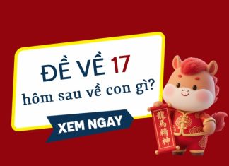 Thống kê đề về 17 hôm sau ra con gì, về con gì may mắn?