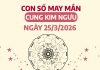 con số may mắn ngày 25/03/2026 cung Kim Ngưu