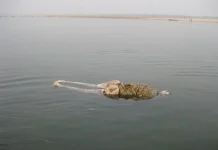 Nằm mơ thấy người khác chết là điềm gì, con gì đại cát?