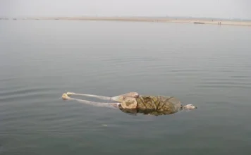 Nằm mơ thấy người khác chết là điềm gì, con gì đại cát? Nằm mơ thấy người khác chết là điềm gì, con gì đại cát?