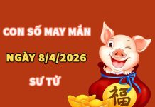 Con số may mắn hôm nay 8/4/2026 thứ 4 cung Sư Tử Con số may mắn hôm nay 8/4/2026 thứ 4 cung Sư Tử
