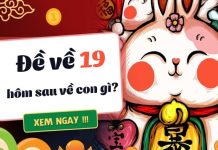 Thống kê đề về 19 hôm sau về con gì, ra con gì lộc phát?