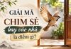 Giải mã chim sẻ bay vào nhà là điềm gì, có mang tới vận may? Giải mã chim sẻ bay vào nhà là điềm gì, có mang tới vận may?