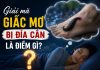 Giải mã giấc mơ bị đỉa cắn là điềm gì, con số gì may mắn?