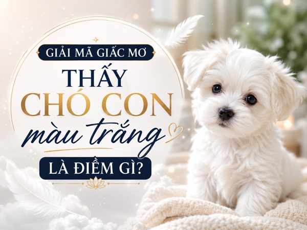 Sự thật nằm mơ thấy chó con màu trắng con số gì may mắn?
